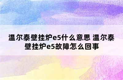 温尔泰壁挂炉e5什么意思 温尔泰壁挂炉e5故障怎么回事